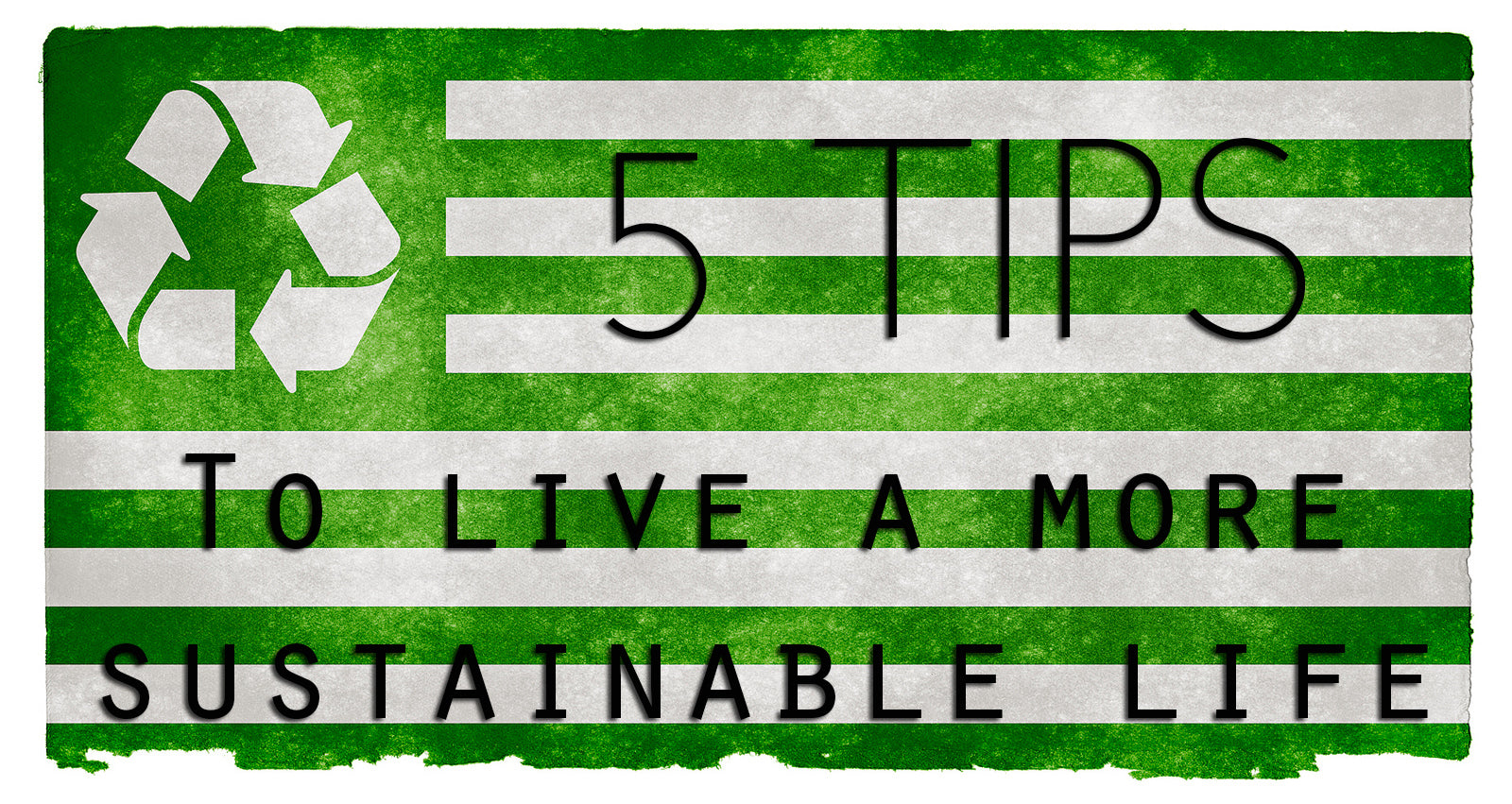 5 Tips to Live a More Sustainable Life